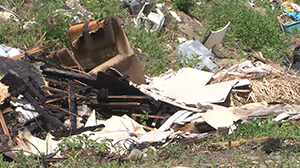 Смета на вывоз мусора с несанкционированных свалок, расположенных вдоль дорог
